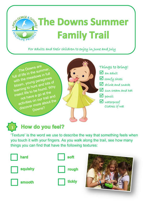 The Downs summer family trail cover image