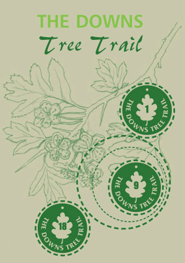 The Downs tree trail leaflet cover image
