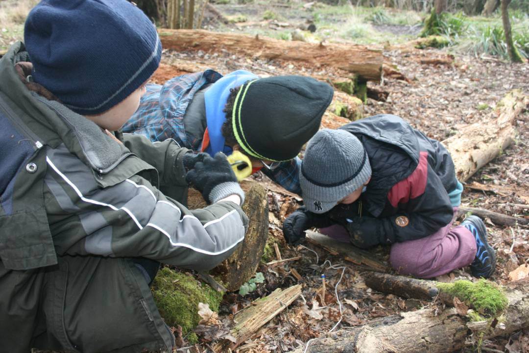 Children bug hunting; looking for mini-beasts