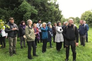 Dawn chorus spectacular