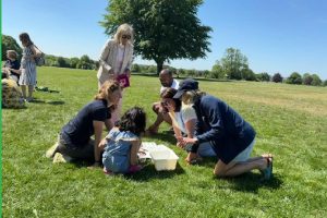 families enjoy a minibeast hunt in the wildflower meadow