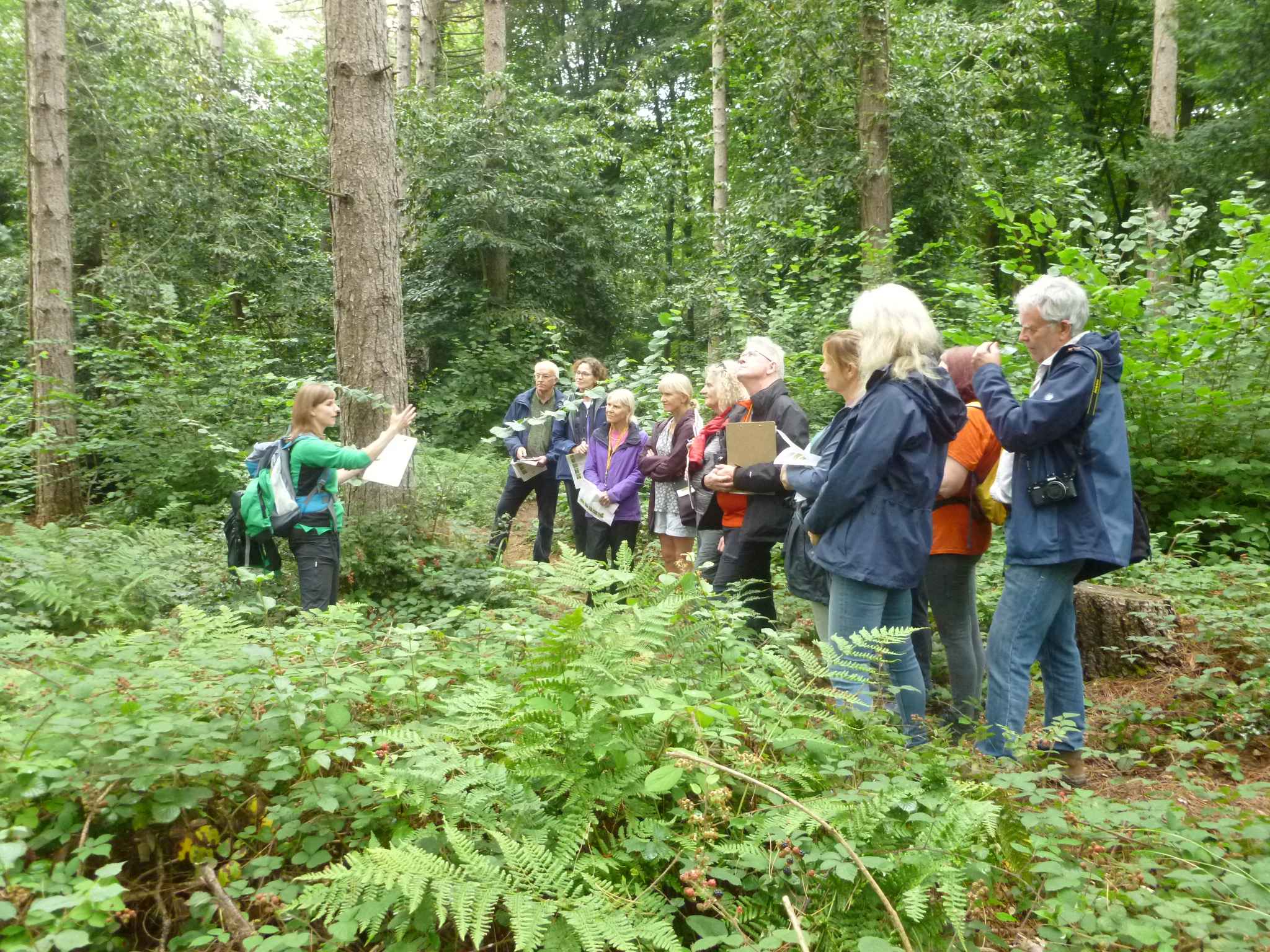 Photo of participants listening to the Leigh Woods Ranger. In Leigh Woods. 2023.