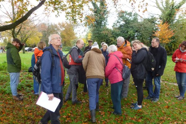 People gathering to inspect a tree in winter