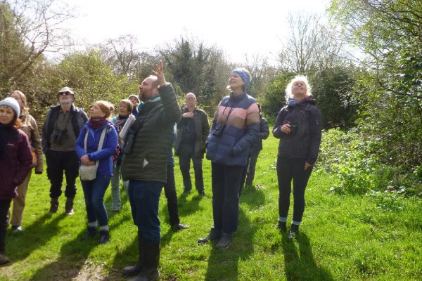 Ed Drewitt points out species