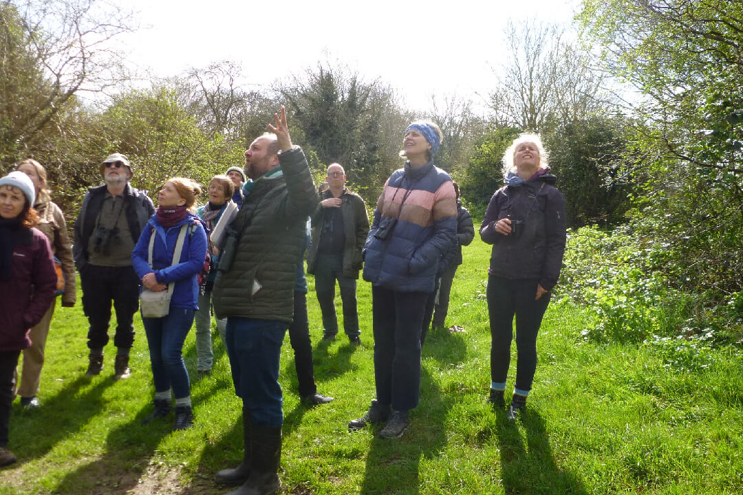 Ed Drewitt points out species