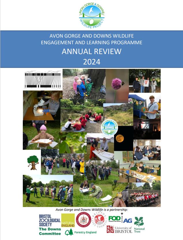 Annual Review image 2024
