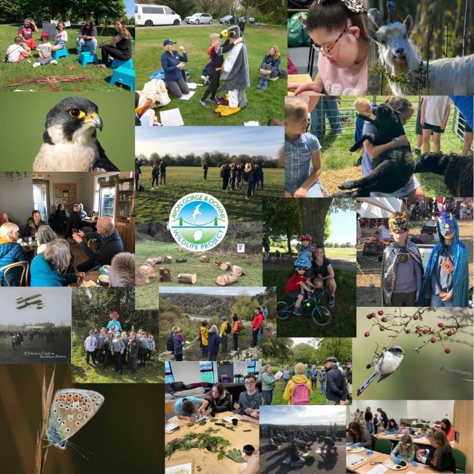 images of 2025 engagement