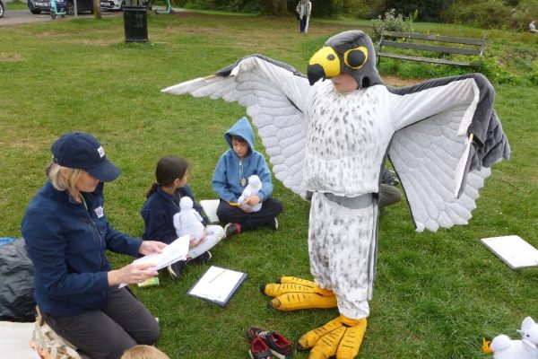 Children dress up as the peregrines