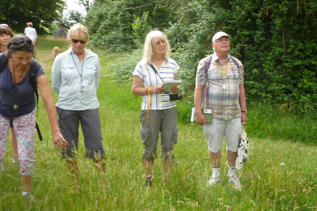 Having a deep dive into the Downs