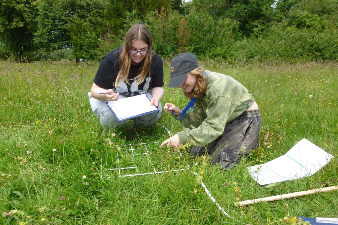 A level students survey